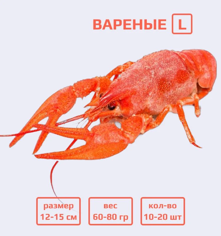Раки вареные L (60-80 г)