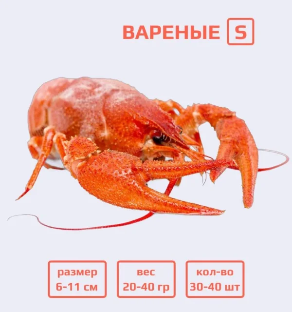 Раки вареные S (20-40 гр)